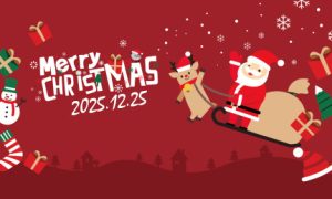 Merry Christmas & a Happy New Year from Me...